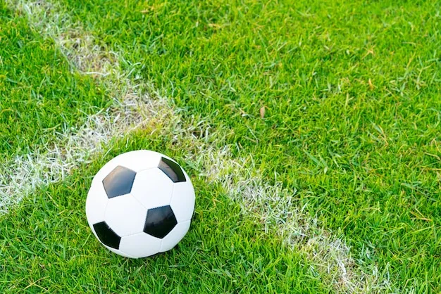 爱游戏体育 体育盛况